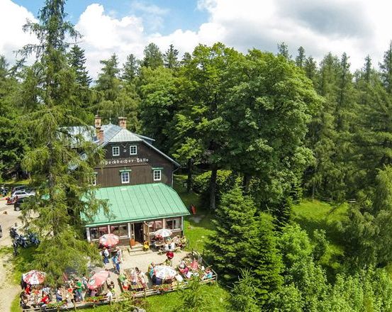 Image contains, Nature, Outdoors, Scenery, Vegetation, Tree, Land, Woodland, Housing, Cottage, House