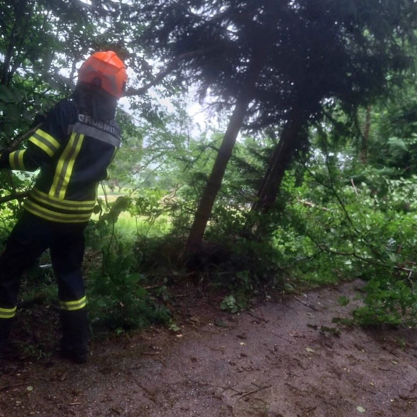 Ein Feuerwehrmann in einem leuchtend orangefarbenen Helm räumt Äste von einem Weg im Wald. Der Weg ist von Bäumen mit üppigen grünen Blättern umgeben.