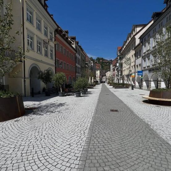 Eine breite Kopfsteinpflasterstraße gesäumt von Gebäuden und Bäumen, mit einem zentralen Gehweg und Bänken auf der rechten Seite. Die Gebäude haben mehrere Fenster und sind in verschiedenen Farben. Es gibt Bäume und Pflanzen in großen Töpfen.