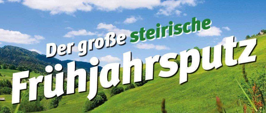 Ein Bild, das ein saftiges grünes Feld mit Bergen im Hintergrund zeigt. Der Text lautet 'Der große Frühlingsputz' auf Deutsch und deutet auf eine Frühjahrsputzaktion hin.