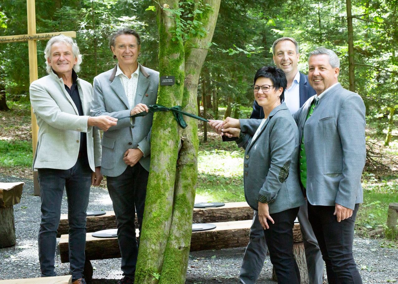 Bild enthält, Blazer, Coat, Jacket, Vegetation, Land, Tree, Woodland, Pants, Portrait, Grove