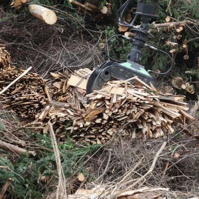 Ein großer Haufen geschnittener Holz liegt auf dem Boden, wobei ein schwerer Maschinenarm ihn sammelt.