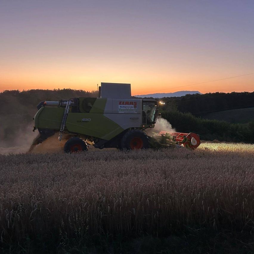Ein grüner Mähdrescher erntet auf einem Feld bei Sonnenuntergang. Der Himmel ist orange und pink, und die Maschine ist von hohem Weizen umgeben.