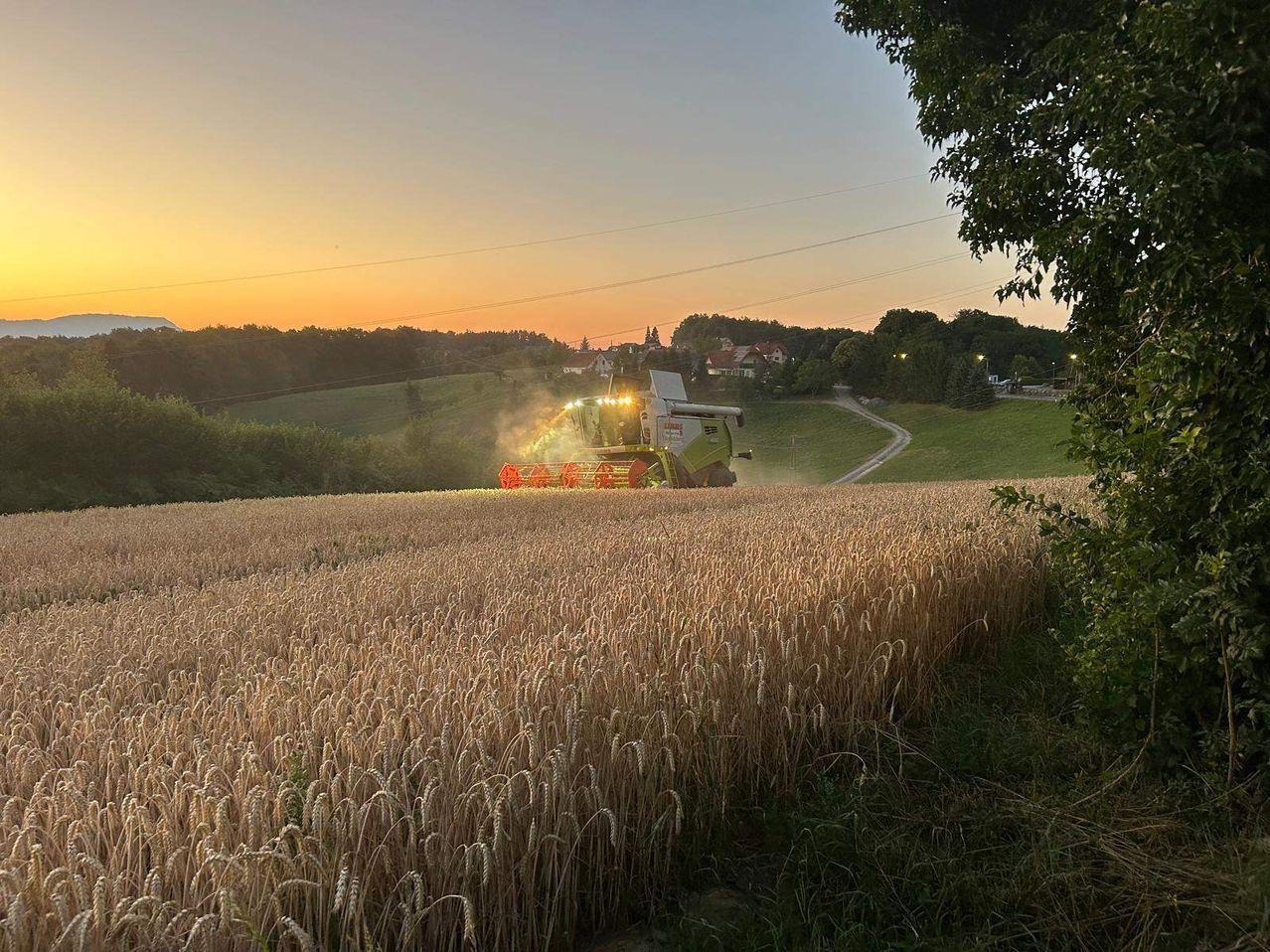 Erntearbeiten in Vasoldsberg