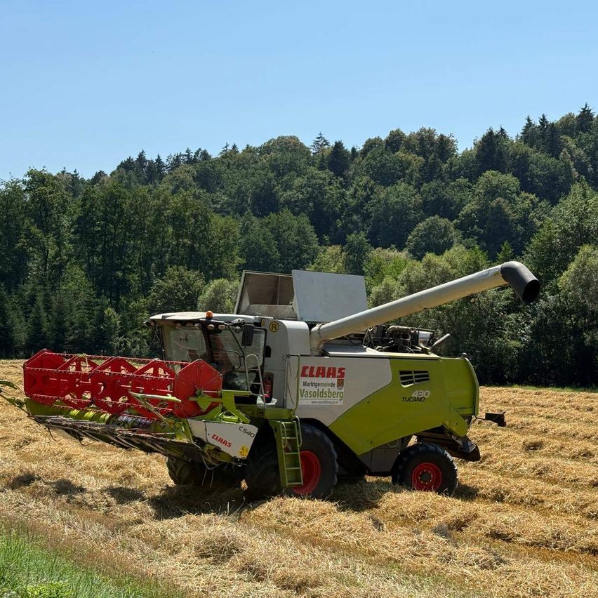 Ein CLAAS Mähdrescher steht in einem Weizenfeld mit einem Hintergrund aus üppigem grünem Laub. Die Maschine ist grün und rot, mit dem Wort CLAAS deutlich auf der Seite angebracht.