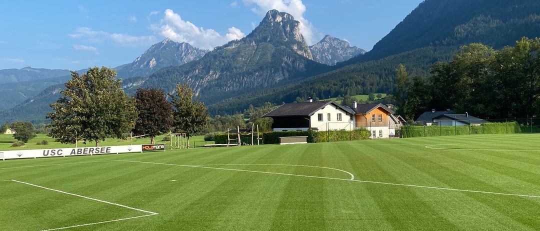 Field, Ground, Grass, Plant