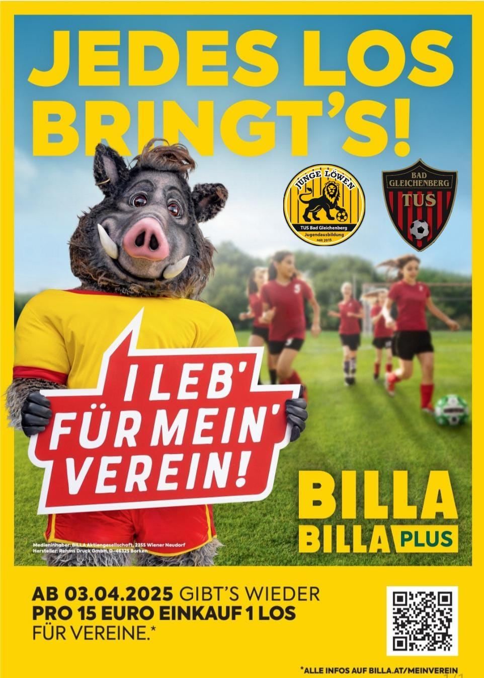 Bild enthält, Advertisement, Poster, Soccer Ball, Person, Adult, Female, Woman, QR Code, Publication, People