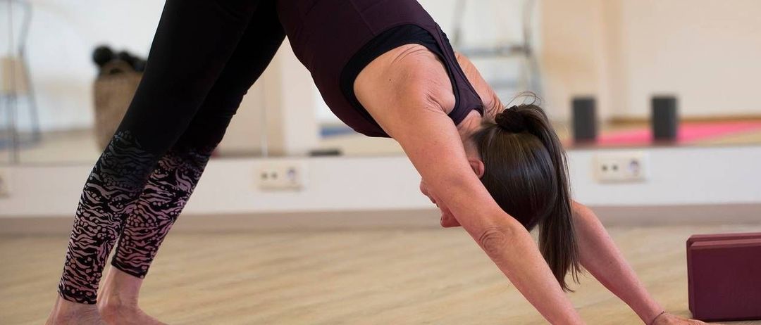 v1_migrated_image_61754527