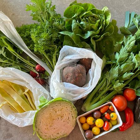 Bild enthält, Cilantro, Food, Food Presentation