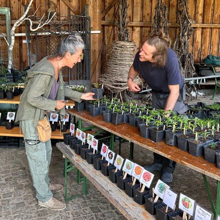 Bild enthält, Garden, Nature, Outdoors, Gardening, Person, Potted Plant, Adult, Male, Man, Planter