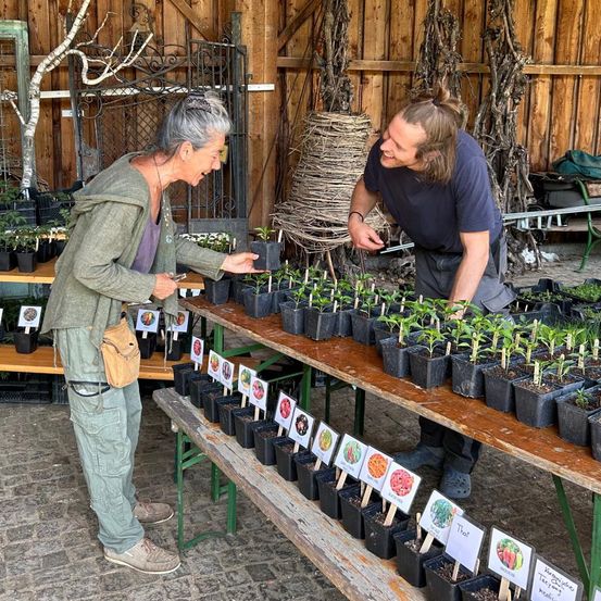 Bild enthält, Garden, Nature, Outdoors, Gardening, Person, Potted Plant, Adult, Male, Man, Planter