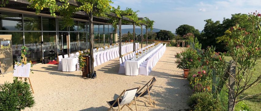 Bild enthält, Plant, Potted Plant, Planter, Summer, Chair, Outdoors, Nature, Scenery, Interior Design, Lounge