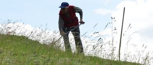 Bild enthält, Grass, Field, Person, Walking, Photography, Grassland, Nature, Outdoors, Bag, Hiking