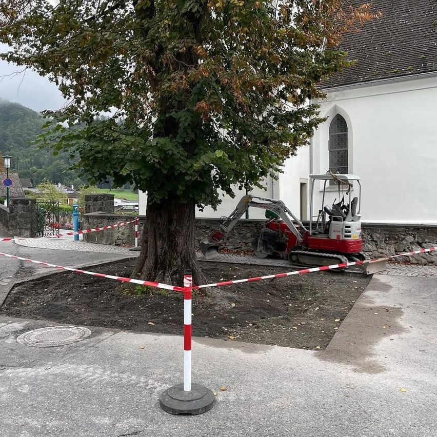 Ein Baufahrzeug steht neben einem großen Baum, der von einem rot-weißen Hindernis umgeben ist, wahrscheinlich für Wartungsarbeiten vor einer Kirche.