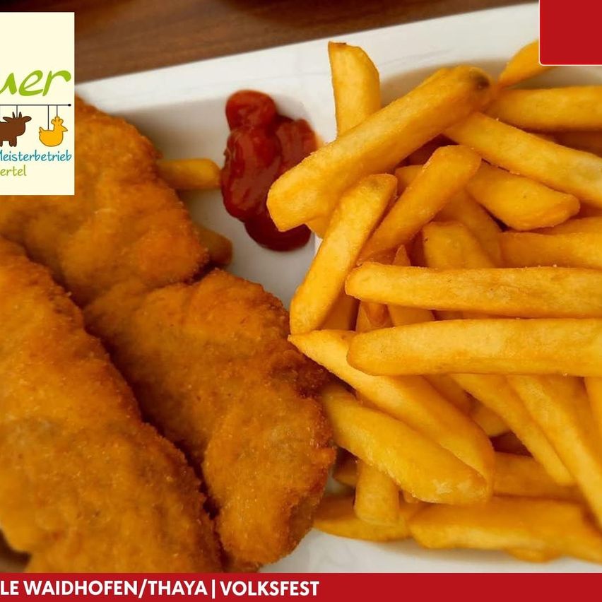 Ein Teller mit knusprigen Pommes Frites, einem gebratenen Hähnchenstück und einem Klecks Ketchup auf der Seite.