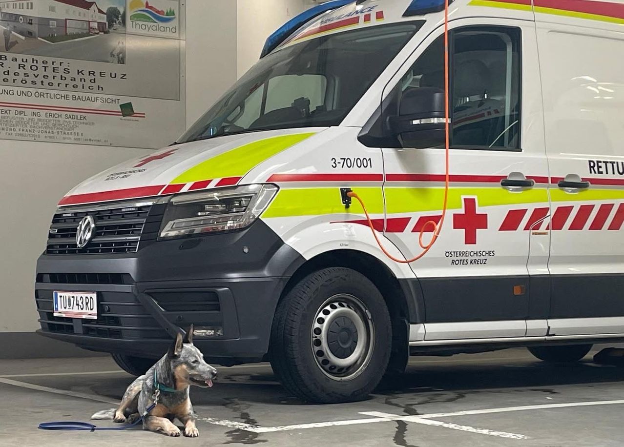 Ein Krankenwagen mit der Nummer 3-70/001 steht in einer Garage. Ein Hund sitzt in der Nähe an der Leine. Die Wand hinter dem Krankenwagen hat ein Schild mit der Aufschrift 'Thayaland'.