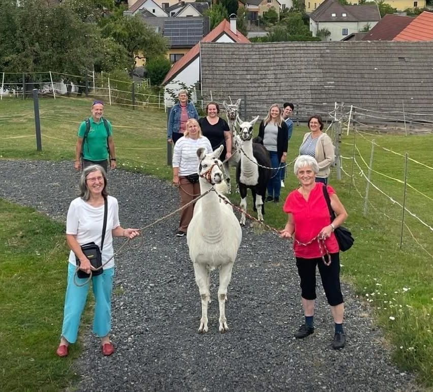 Eine Gruppe von Menschen steht auf einem Kiesweg mit Alpakas, eine führt ein weißes Alpaka. In der Nähe sind Häuser und Bäume zu sehen.