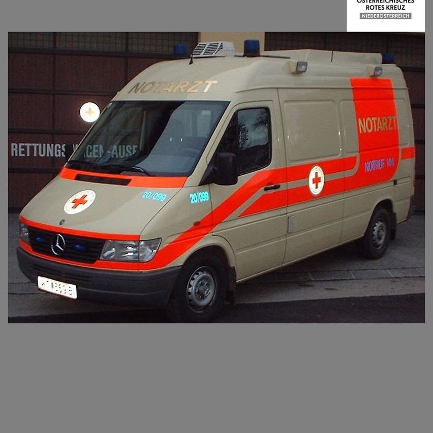 Ein Krankenwagen mit roten und weißen Markierungen und dem Wort Notarzt darauf. Der Krankenwagen hat ein Nummernschild mit der Aufschrift 15-21-34.