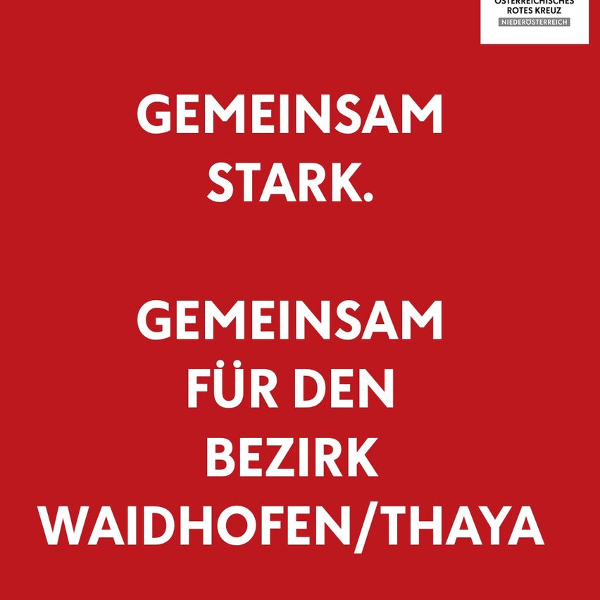 Ein rotes Plakat mit weißem Text lautet 'Gemeinsam stark. Gemeinsam für den Bezirk Waidhofen/Thaya.' Der Text ist fett und großgeschrieben, mit einem Logo oben.