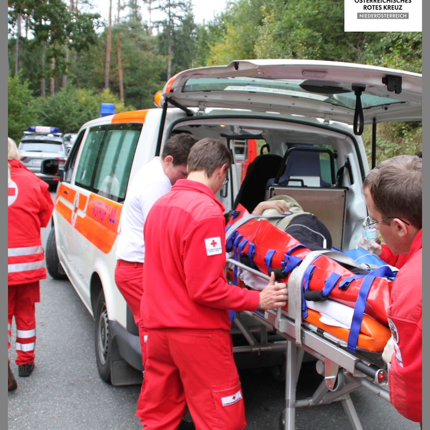 Medical personnel in red uniforms load a stretcher into an ambulance. Another person watches nearby. Trees and a car are visible in the background.