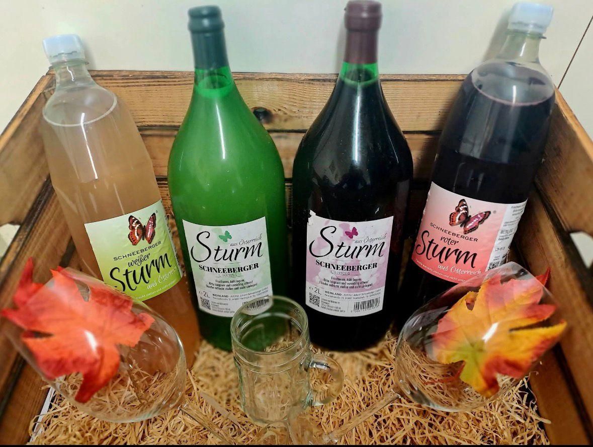 Fünf Flaschen Sturm-Wein in verschiedenen Farben, auf einer Holzoberfläche platziert. Eine Flasche ist grün, eine dunkelrot und die anderen sind rosa und klar. Ein Glaskrug und zwei klare Gläser mit Herbstblättern in der Nähe.