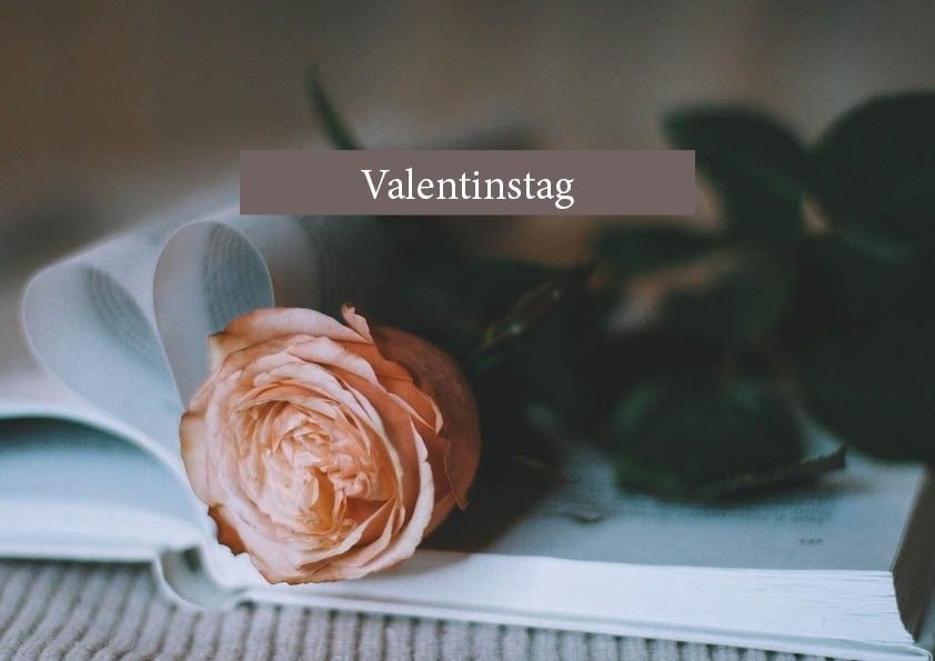 Eine rosa Rose auf einem offenen Buch mit dem Wort Valentinstag darüber.
