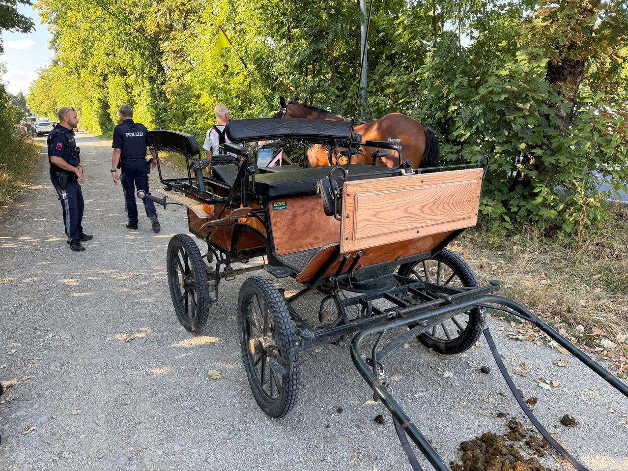 Eine Pferdekutsche steht auf einem Kiesweg, in der Nähe ein Polizist und eine weitere Person. Die Kutsche hat einen braunen Sitz und eine Holzkiste hinten. Das Pferd steht hinter der Kutsche, und es gibt Bäume und Gras an der Seite.