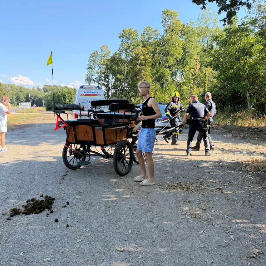 Ein Mann steht neben einer Pferdekutsche auf einer Kiesstraße, mit Rettungskräften in der Nähe. Bäume und ein Fahnenmast sind im Hintergrund.