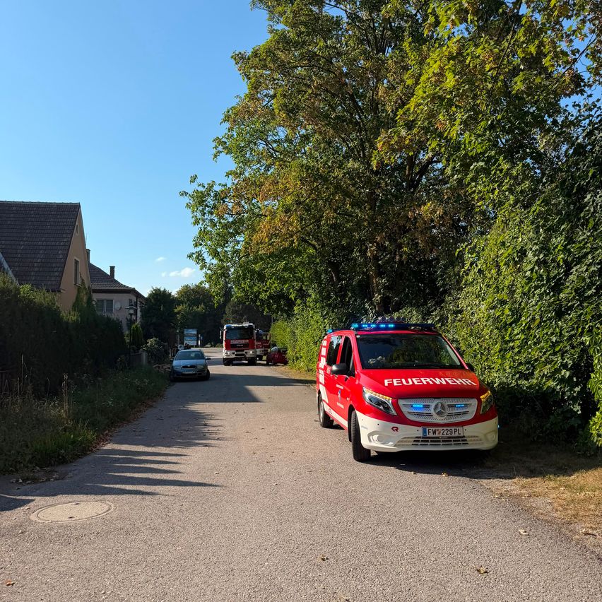 Ein roter Feuerwehrwagen mit blauen Lichtern ist auf einer Straße geparkt, mit einem Haus und Bäumen auf beiden Seiten. Ein Auto fährt auf der Straße.
