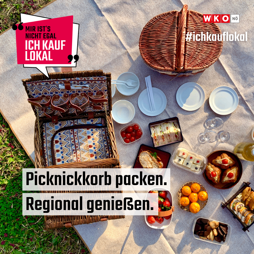 Ein Picknickkorb mit Essen, einschließlich Sandwiches, Tomaten und Obst, ist auf einer Decke ausgebreitet. Der Text lautet 'Picknickkorb packen. Regional genießen.' mit einem Hashtag. Eine Sprechblase sagt 'MIR IST'S NICHT EGAL ICH KAUF LOKAL'.