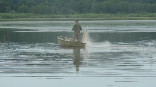 v1_migrated_image_88374308