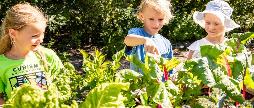 Bild enthält, Garden, Nature, Outdoors, Herbal, Gardening, Child, Female, Girl, Person, Portrait