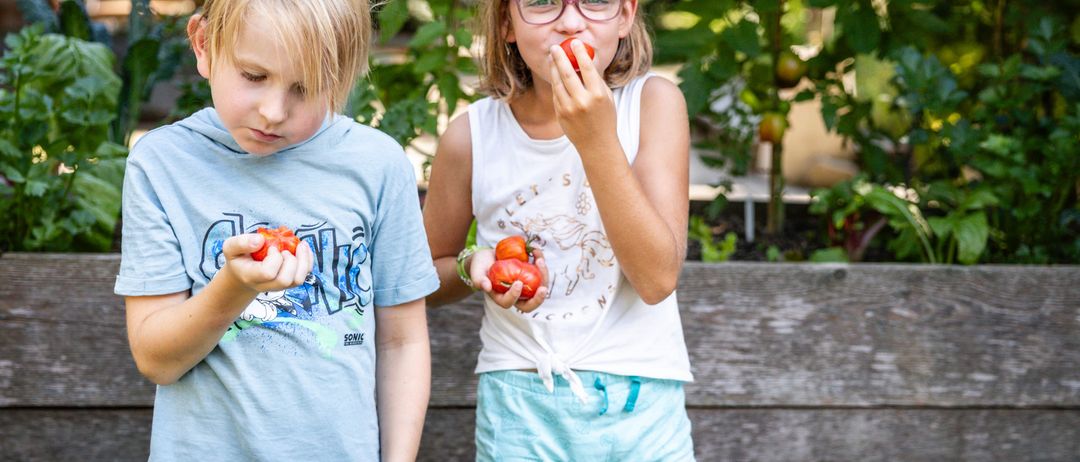 Bild enthält, Shorts, Person, Boy, Child, Male, Head, Face, Eating, Food, Glasses