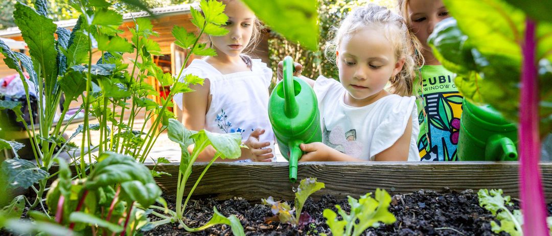 Bild enthält, Garden, Nature, Outdoors, Gardening, Child, Female, Girl, Person, Plant, Face
