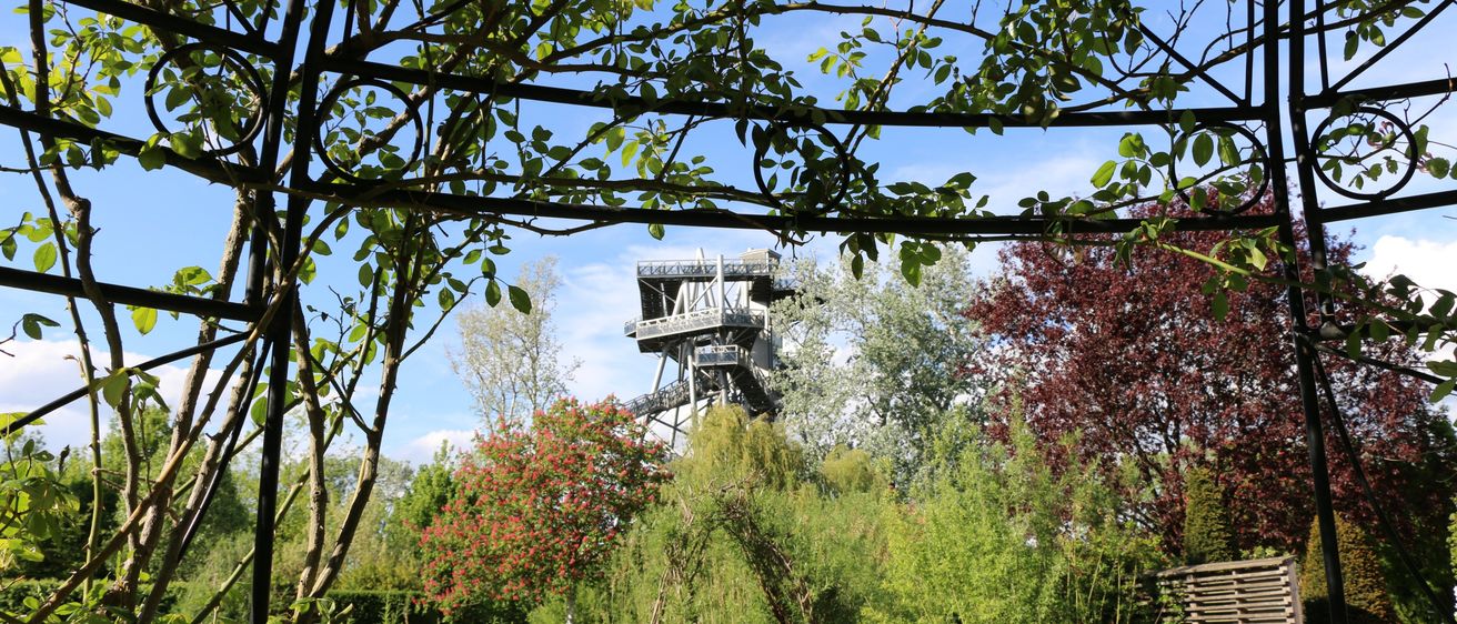Bild enthält, Garden, Nature, Outdoors, Arbour, Tree, Scenery, Vegetation, Housing, Porch, Patio