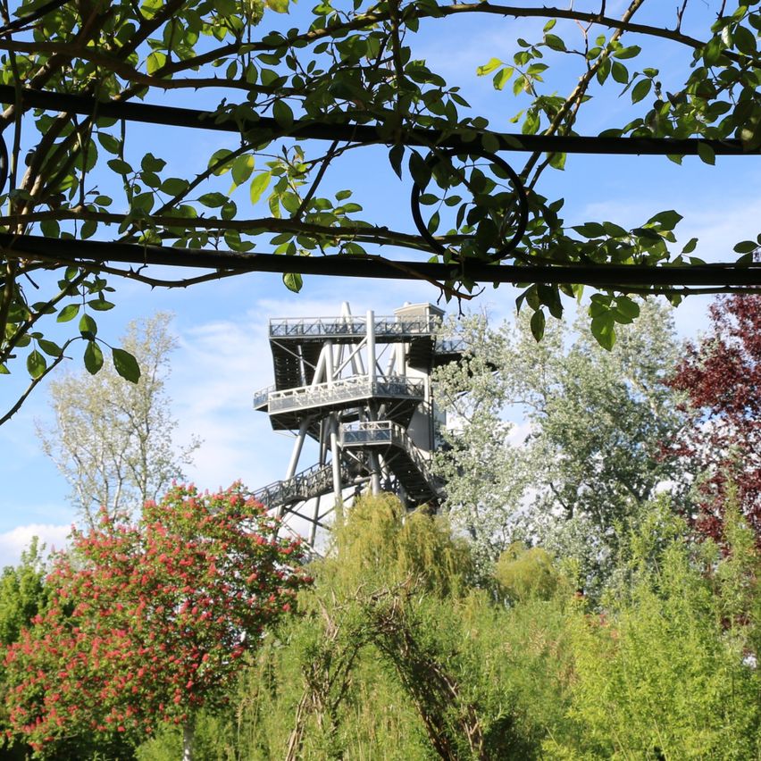 Bild enthält, Garden, Nature, Outdoors, Arbour, Tree, Scenery, Vegetation, Housing, Porch, Patio