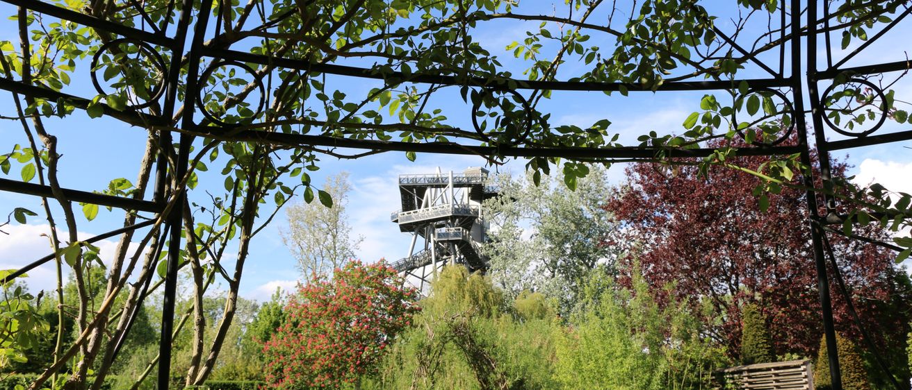 Bild enthält, Garden, Nature, Outdoors, Arbour, Tree, Scenery, Vegetation, Housing, Porch, Patio