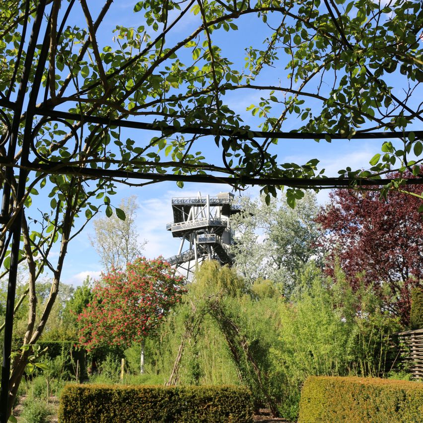 Bild enthält, Garden, Nature, Outdoors, Arbour, Tree, Scenery, Vegetation, Housing, Porch, Patio