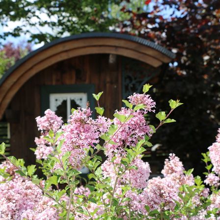 GartenderGesundheitstherapien1(c)DIEGARTENTULLN_Buchinger