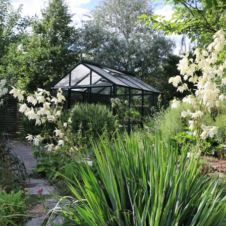 Glashaus2(c)DIEGARTENTULLN_Buchinger