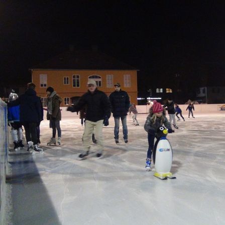 Bild enthält, Person, Adult, Male, Man, Penguin, Coat, Jacket, Rink, Skating, Ice Skating Dancing