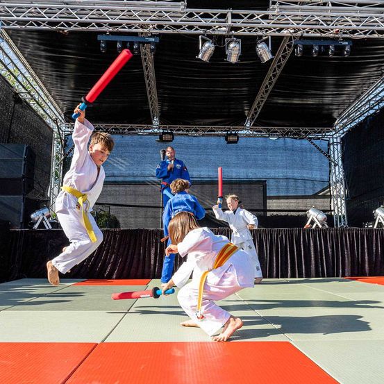 Bild enthält, Baton, Stick, Person, Boy, Male, Teen, Judo, Martial Arts, Basketball Game