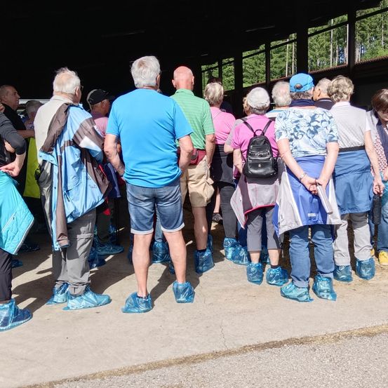 Eine Gruppe älterer Menschen, die blaue Überschuhe tragen, steht in einer Reihe, einige mit Taschen, unter einem Schutzdach mit Bäumen im Hintergrund.