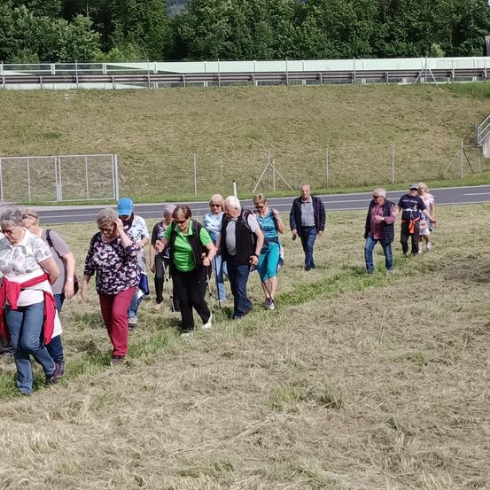Eine Gruppe älterer Menschen geht auf einem Rasenfeld in der Nähe einer Straße. Einige tragen Sonnenbrillen und Hüte, während andere Taschen tragen. Dahinter ist ein Metallzaun und Bäume zu sehen.