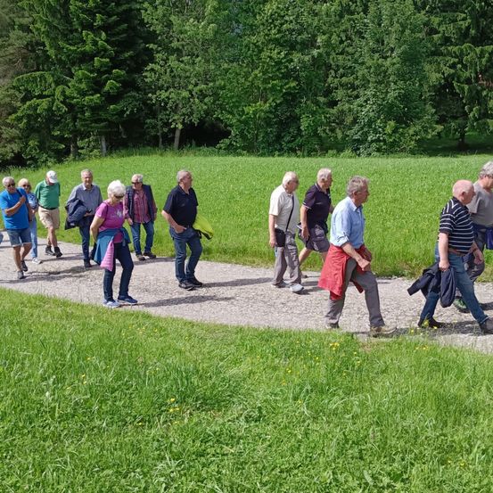 Eine Gruppe von Menschen, meist älterer, geht auf einem Kiesweg durch ein saftiges Feld mit Bäumen im Hintergrund.