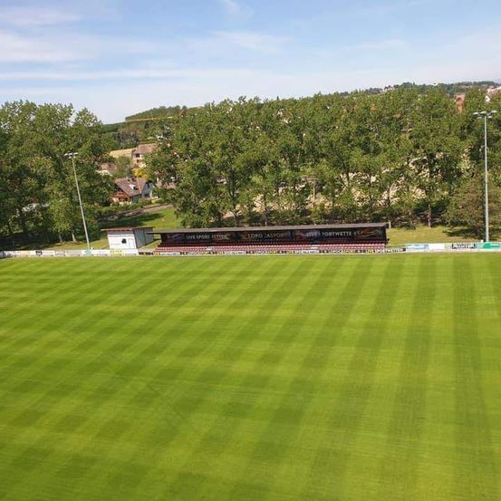 Luftaufnahme eines grünen Sportplatzes mit roter Tribüne, Bäumen, Häusern und Straßenlaternen. Der Himmel ist blau mit einigen Wolken.
