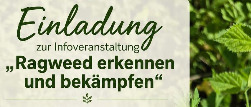 An informational event on identifying and combating ragweed. Saturday at 8:30 AM. Damstraße near the Schießbahn II. Duration: approx. 1 hour. Rain reschedules. Call 0664/3912199 for registration.