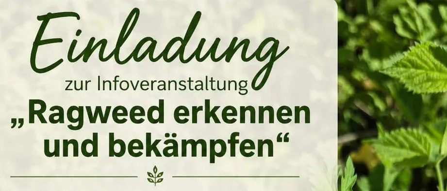 Informationsveranstaltung über das Erkennen und Bekämpfen von Ragweed. Samstag, 08:30 Uhr. Damstraße bei der Schießbahn II. Dauer: ca. 1 Stunde. Bei Regen wird die Veranstaltung verschoben. Rufen Sie 0664/3912199 für die Anmeldung an.