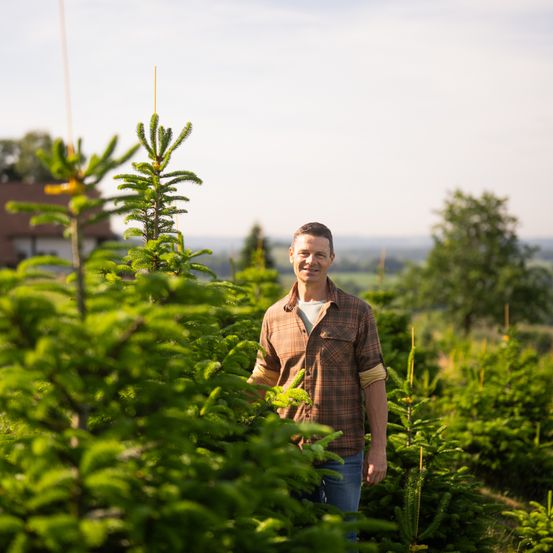 Ein Mann steht lächelnd in einer Kiefernbaum-Gärtnerei, umgeben von Bäumen.