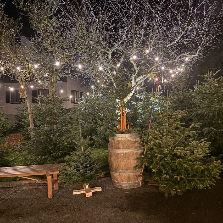 Weihnachtsbaumausstellung im Freien bei Nacht. Ein Holzfass dient als Baumständer. Die Bäume sind mit Lichtern und Ornamenten geschmückt. Eine Holzbank und ein kleines Haus sind im Hintergrund zu sehen.